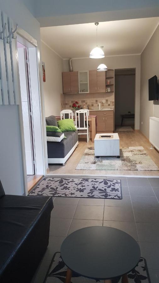 Apartmani V&F Vrnjačka Banja Extérieur photo