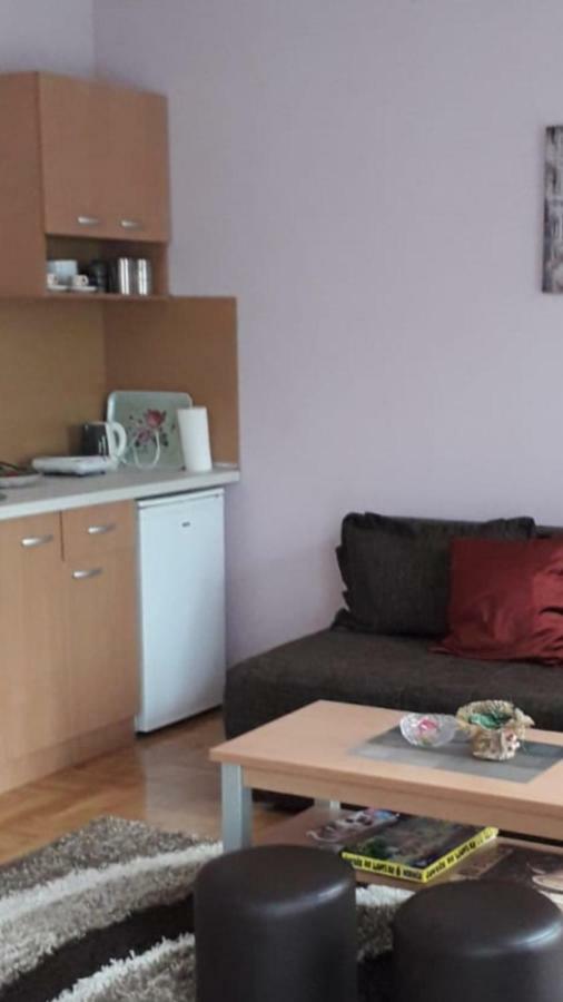 Apartmani V&F Vrnjačka Banja Extérieur photo